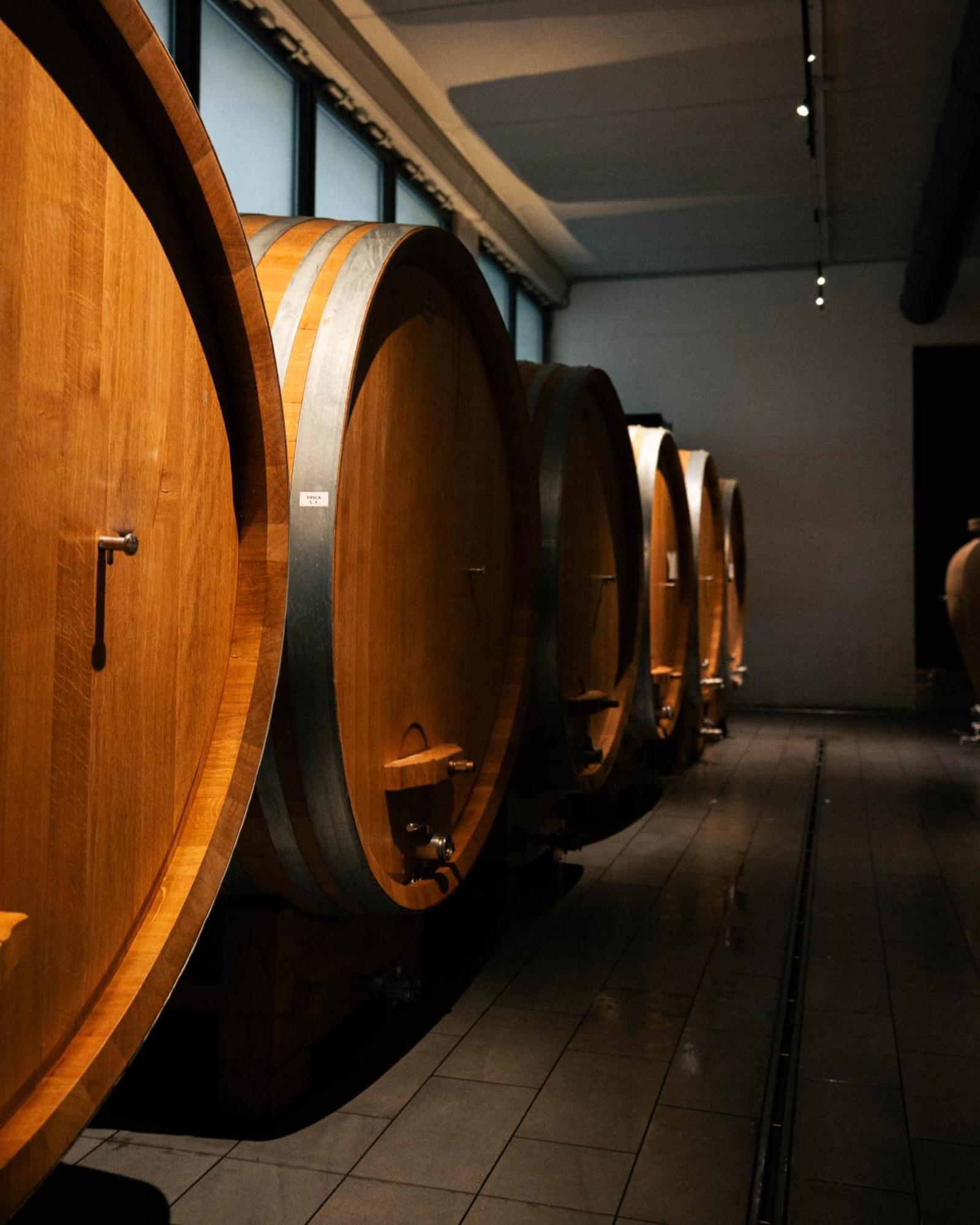 Monforte dʼAlba Foresteria, Winery & Events Destination מראה חיצוני תמונה